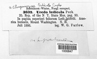 Image Associated With the Occurence